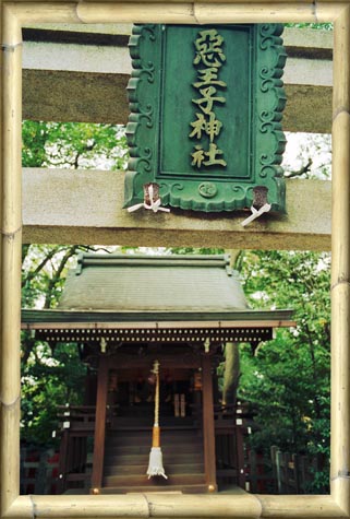 Green Plaque, Shrine and Fortunes